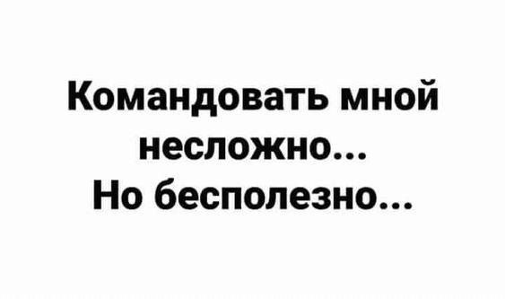 Подробнее о статье Свежие самые смешные фразы