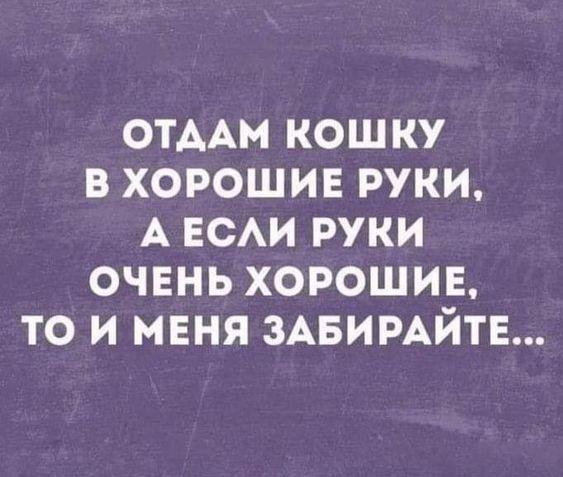 Подробнее о статье Свежие веселые фразы