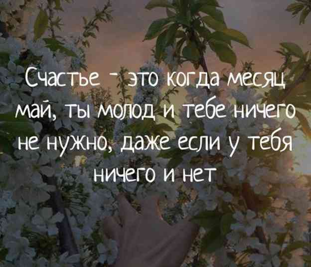 Подробнее о статье Интересные статусы про май