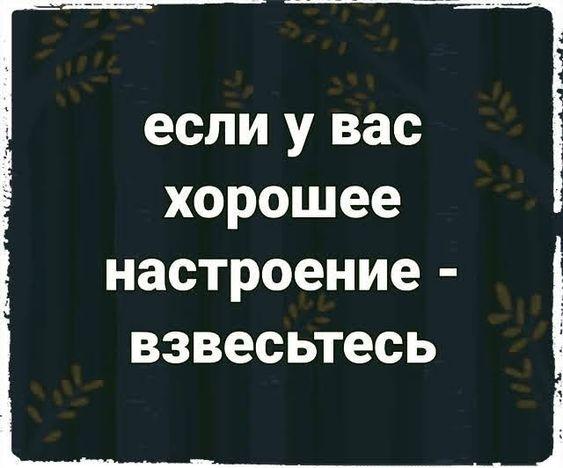 Подробнее о статье Угарные шутки (вторник)