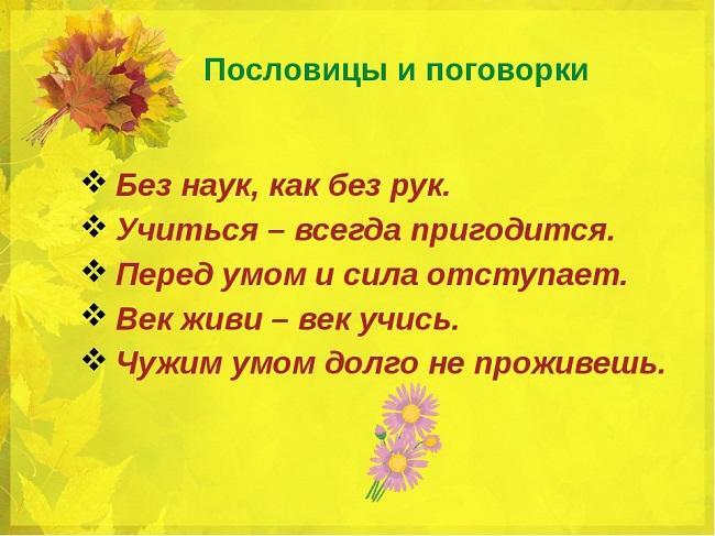 Подробнее о статье Разные пословицы и поговорки на картинках