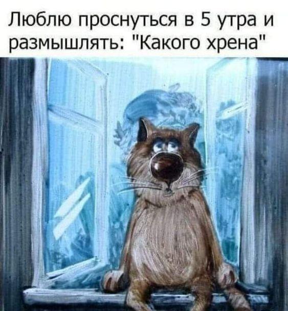 Свежие угарные картинки