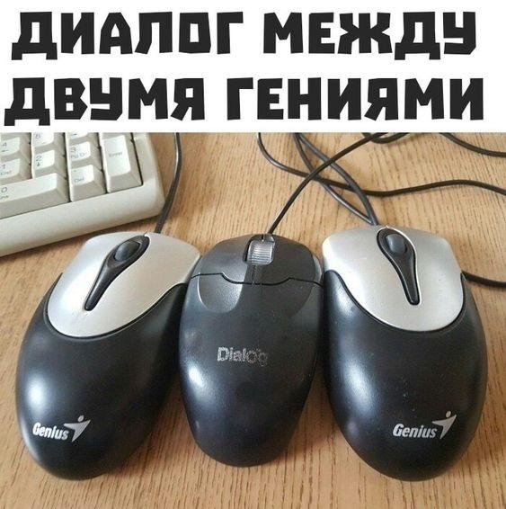 Самые смешные свежие мемы (вторник)