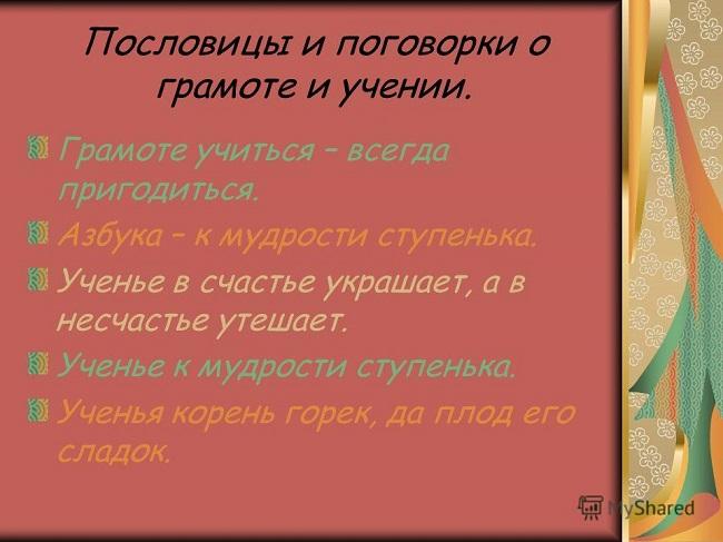 Подробнее о статье Пословицы и поговорки про учение