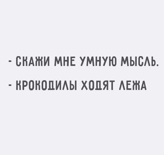 Подробнее о статье Прикольные до слез свежие шутки (вторник)