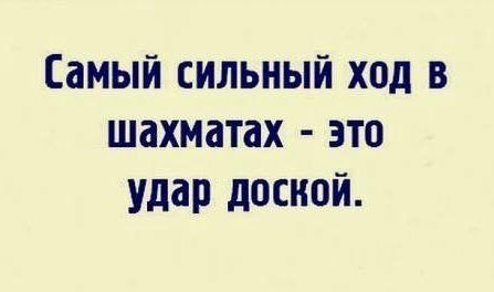 Подробнее о статье Смешные до слез свежие шутки (среда)