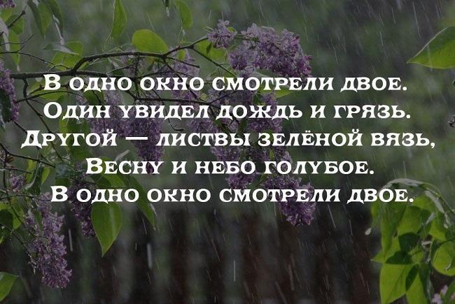 Подробнее о статье Красивые статусы про весну