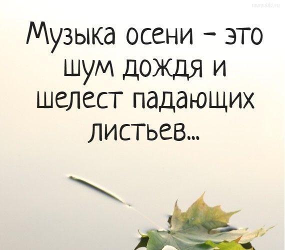 Подробнее о статье Различные статусы на картинках