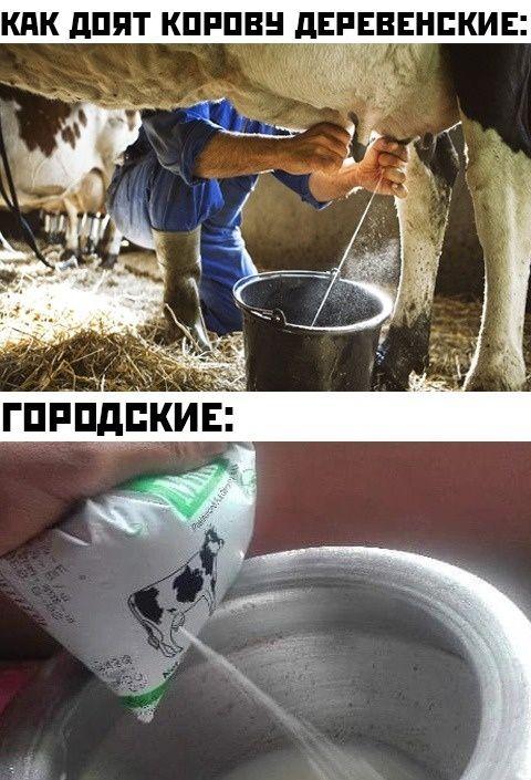 Веселые свежие мемы (среда)