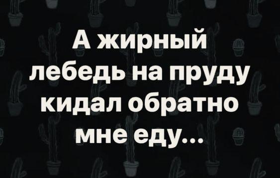 Подробнее о статье Забавные свежие шутки (пятница)