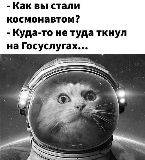 Хорошие свежие мемы (суббота)