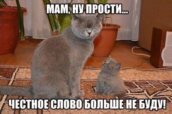 Классные свежие мемы (пятница)