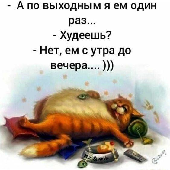 Классные свежие мемы (пятница)