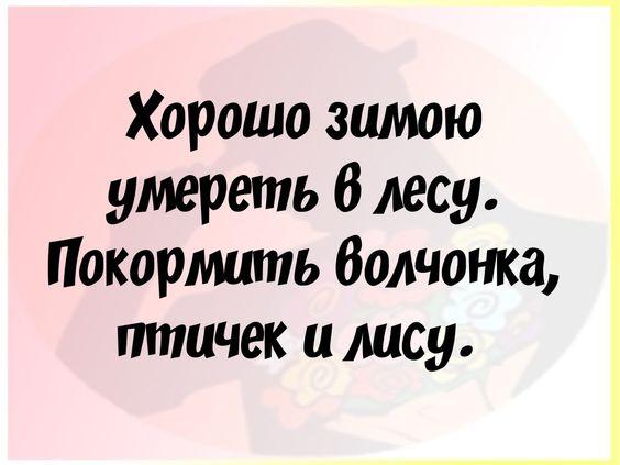 Подробнее о статье Хорошие свежие шутки (четверг)