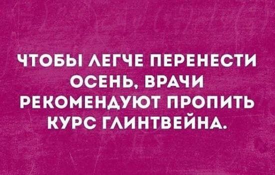 Подробнее о статье Лучшие свежие шутки (пятница)