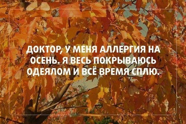 Подробнее о статье Смешные статусы про октябрь