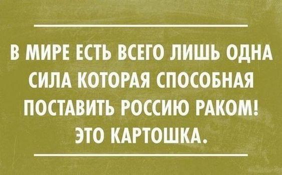 Подробнее о статье Улетные свежие шутки (понедельник)