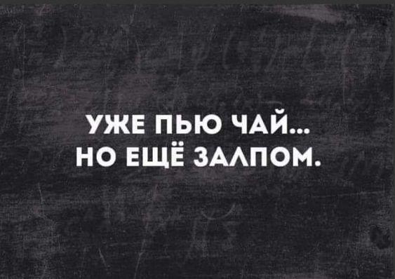 Подробнее о статье Смотреть самые смешные картинки с шутками