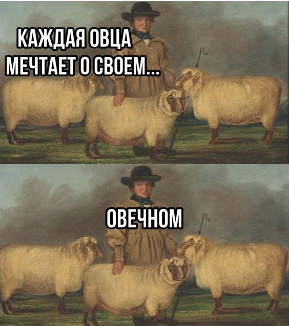 Убойные свежие мемы (четверг)