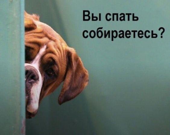 Клевые свежие мемы (понедельник)