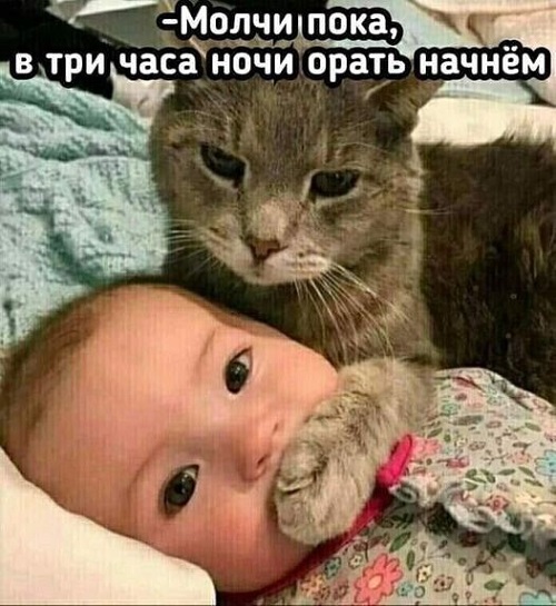 Клевые свежие мемы (среда)