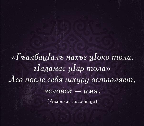 Подробнее о статье Народные аварские пословицы и поговорки