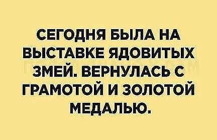 Подробнее о статье Читать свежие шутки (четверг)