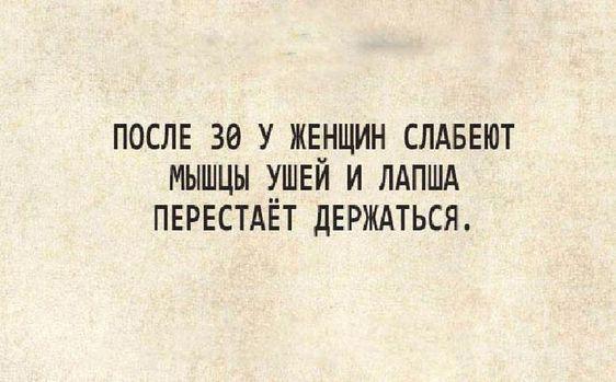 Подробнее о статье Клевые свежие шутки (пятница)