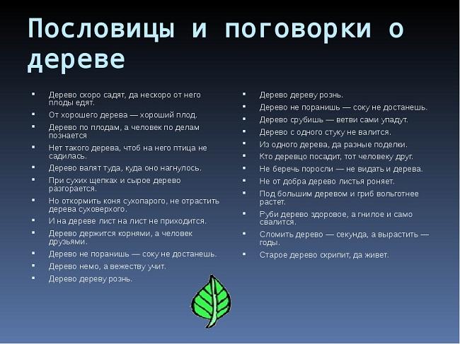 Подробнее о статье Пословицы и поговорки про деревья