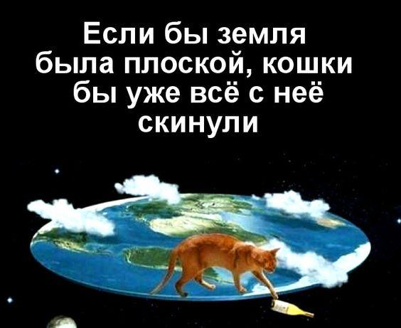 Свежие мемы пятницы