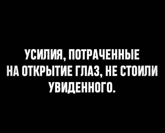 Подробнее о статье Свежие шутки на сегодняшний день (понедельник)