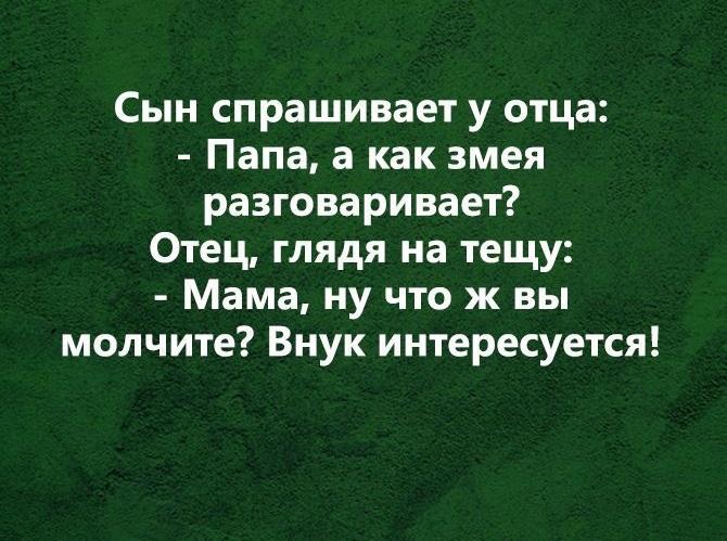 Шутки и приколы про тещу и зятя на картинках