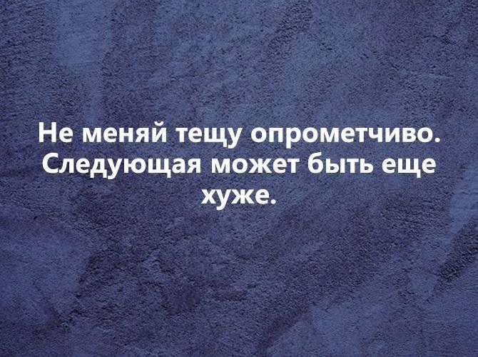 Подробнее о статье Прикольные фразы и шутки про зятя и тещу на картинках