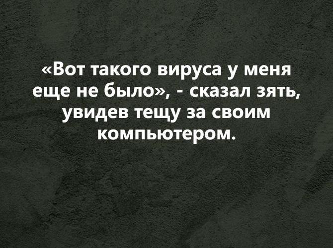 Шутки и приколы про тещу и зятя на картинках