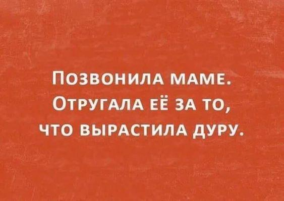 Подробнее о статье Смотреть ржачные картинки с шутками