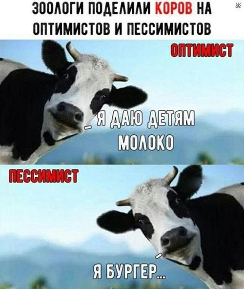 Свежие мемы данной пятницы