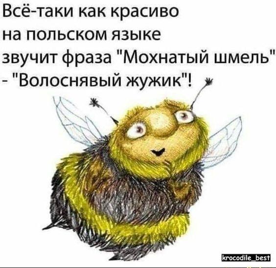 Свежие мемы нового понедельника