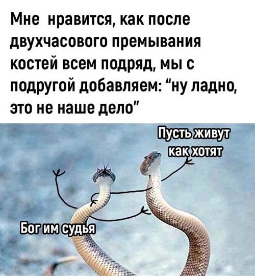 Свежие мемы для пятницы