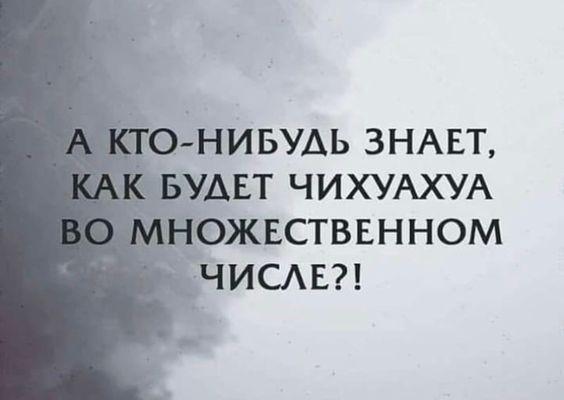 Подробнее о статье Короткие веселые фразы