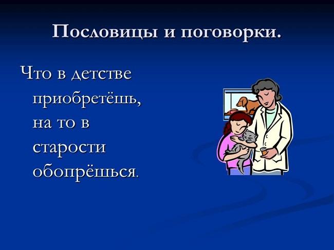 Подробнее о статье Пословицы про старость и старых