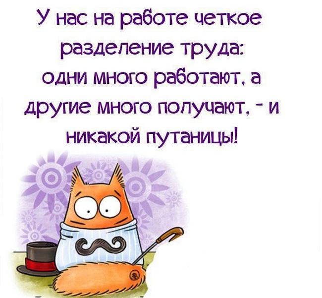 Подробнее о статье Читать смешные статусы про работу