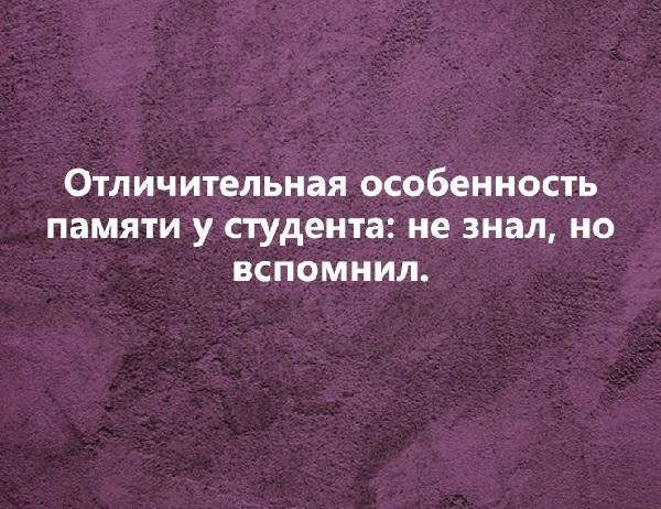 Подробнее о статье Студенческие статусы