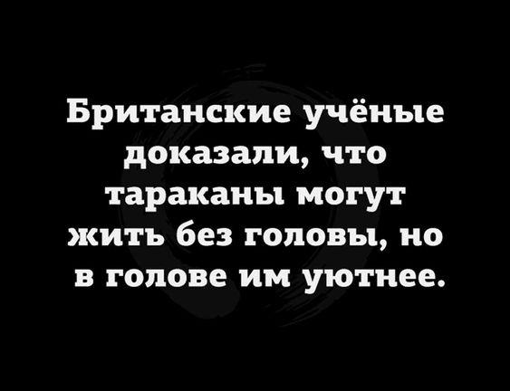 Подробнее о статье Свежие шутки для понедельника