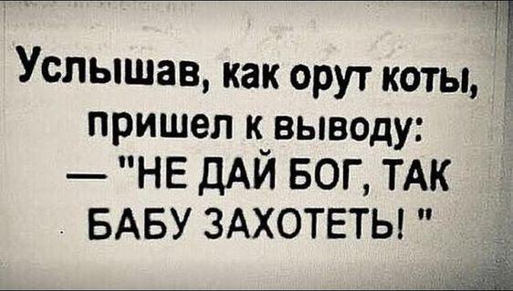 Подробнее о статье Свежие шутки на данную пятницу