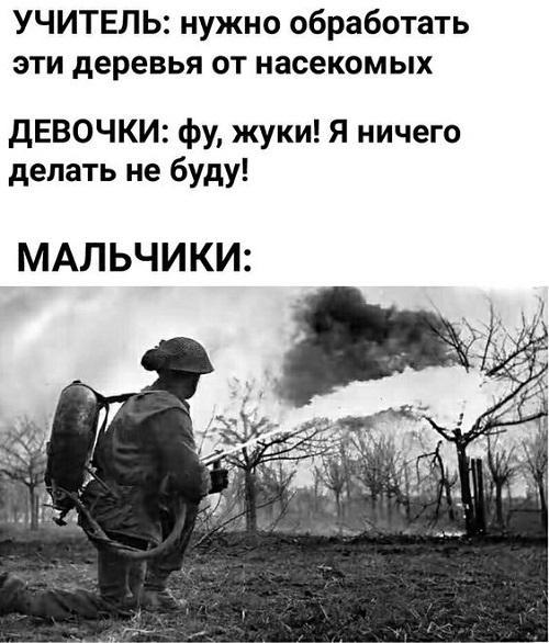 15 абсолютно свежих картинок с надписями среды