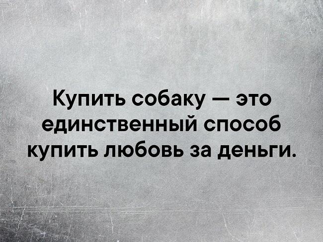 Подробнее о статье Прикольные статусы про любовь