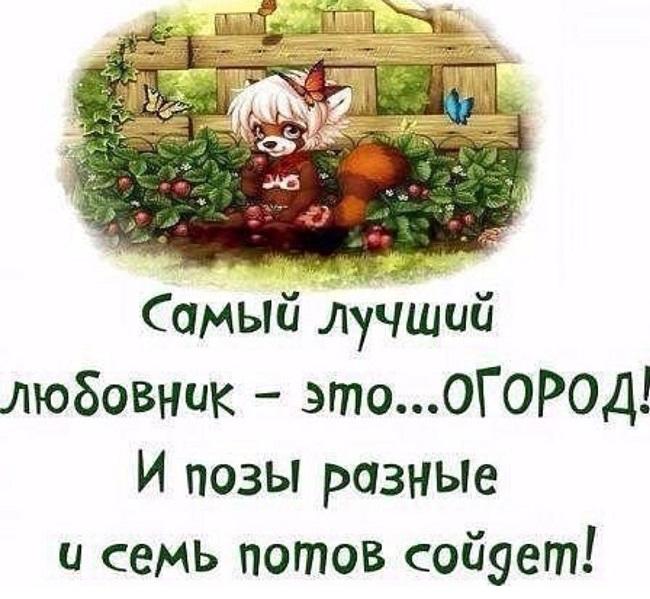 Шутки про огород в картинках