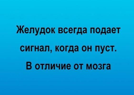 Подробнее о статье 25 самых свежих шуток на четверг