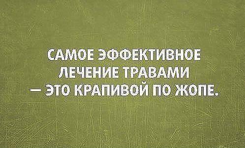 Подробнее о статье 25 самых свежих шуток на пятницу