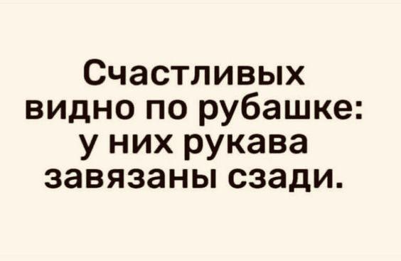 Подробнее о статье 25 свежих шуток на данный день